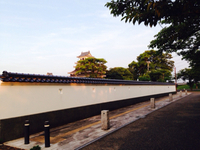 2014年08月19日