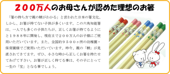 されど、お箸