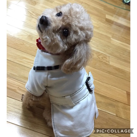 メルちゃん♪♪