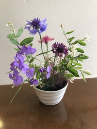 もう中学生
