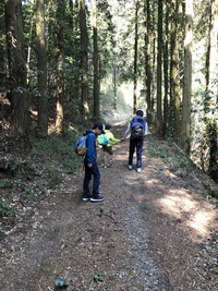 山に登ってみよう…