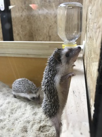 さわってみた！