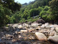 渓流釣り