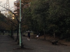 日岡公園でテニスです。