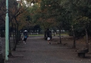 日岡公園でテニスです。
