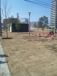 市民植樹祭