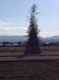 お墓参り