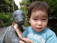 すっぽん！