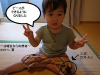 夏の使者