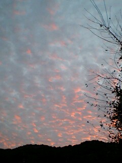 夕焼け~