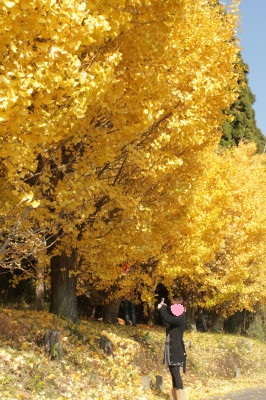 もう少し・・・1、のその後