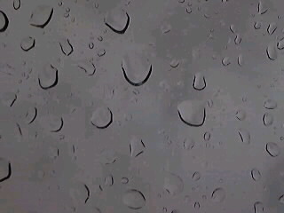 降ってますね