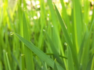 見えますか?