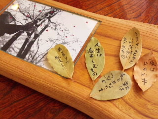 「ごまだしうどん」と「写真と木」