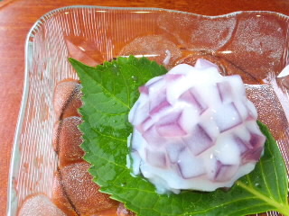紫陽花もどき
