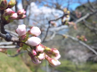 元気もらった~。