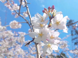 元気もらった~。