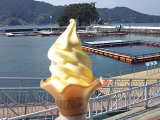 サンクイーンソフト