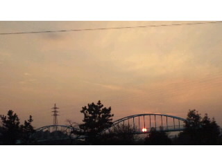 今日は…