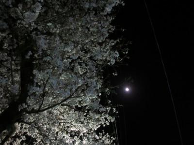 電線、邪魔ぁ~。