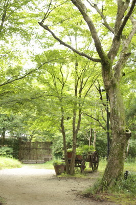 ある風景