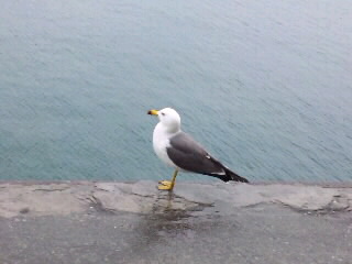 帰ってきた~?