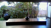 １１月　カラー診断＆セミナーの予定
