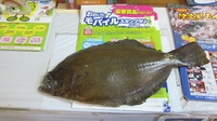 中津市役所にて