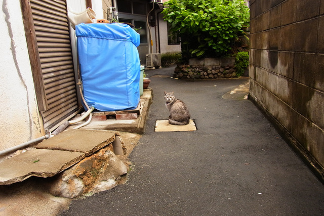 地下に秘密基地