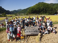 にっぽん酒をつくる会の稲刈り