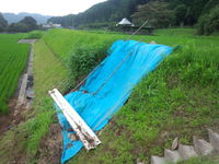 まだまだ大変ですね