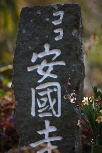 穴場パワースポットの安国寺。