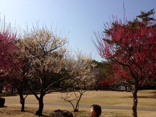 別府公園
