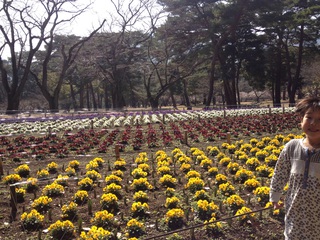 別府公園