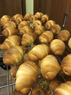 うさぎびより2~出店者紹介~ うさぎびより2~出店者紹介~