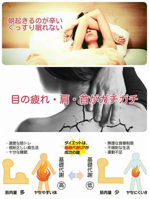 うさぎびより2~出店者紹介~ うさぎびより2~出店者紹介~