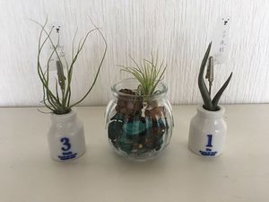 うさぎびより2~出店者紹介~ うさぎびより2~出店者紹介~