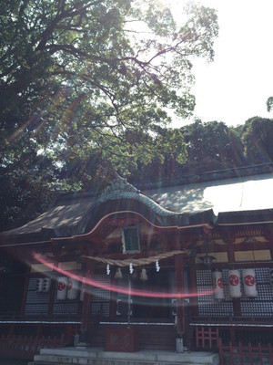 色は光 色は光