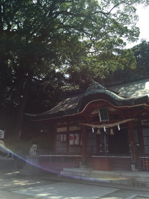 色は光 色は光