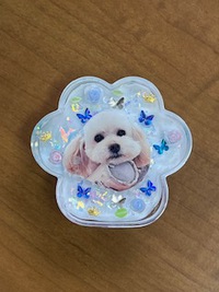 4月22日の記事