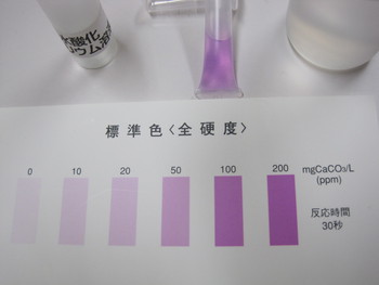 水質検査