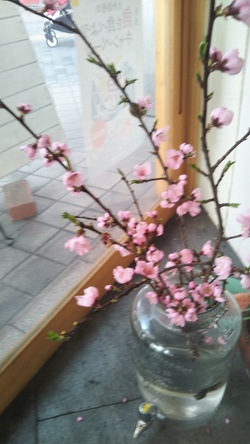 ご迷惑おかけしました。ご報告です。