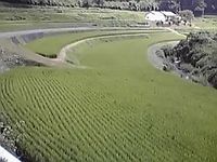 お盆明けの久住