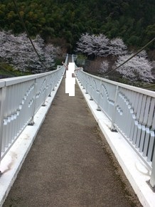 花見に花粉症!