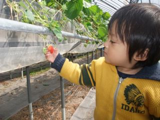 晴れ男のおかげで。