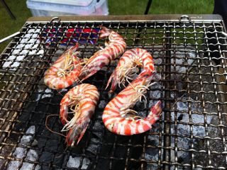くみにキャンプ