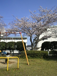 入園おめでとう