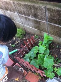 すくすくと