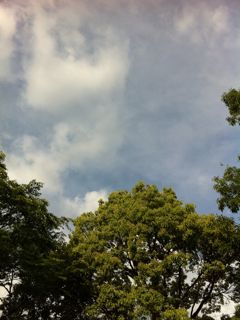 無事に帰ってきたよ〜。