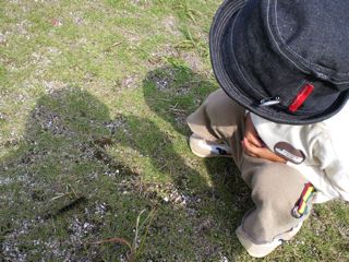 お散歩